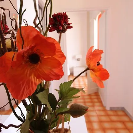 Casa Ylenia Holiday home *
